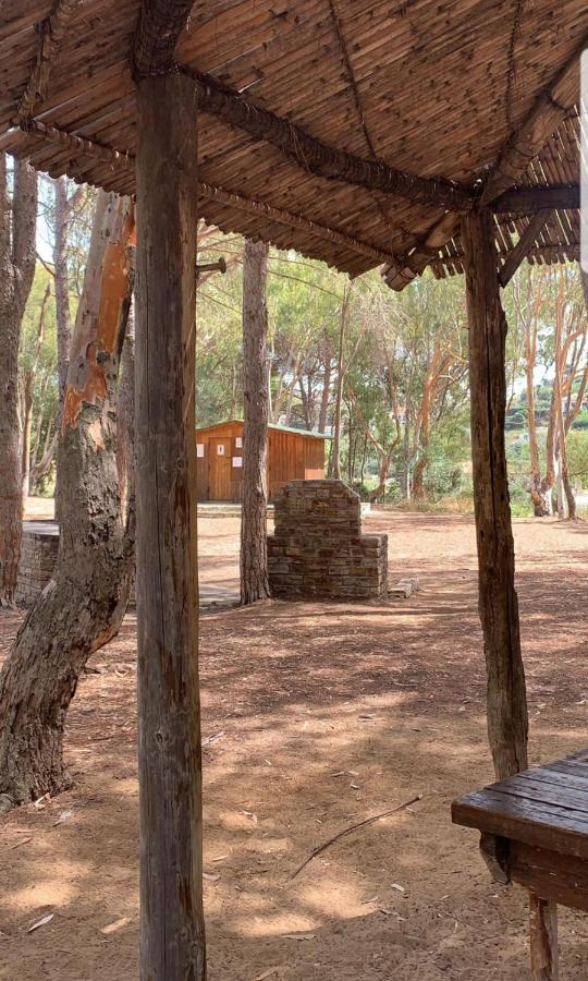 Casa Vacanza "Fortuna" Balestrate Exteriér fotografie